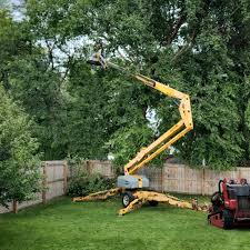 Best Commercial Tree Services  in Augusta, GA